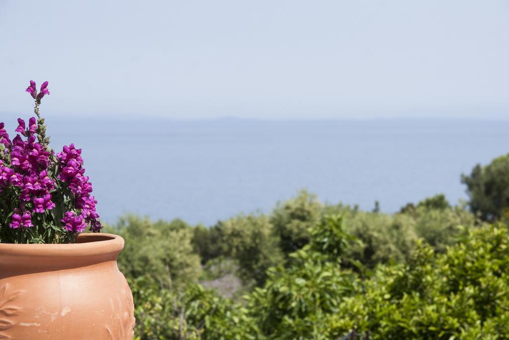 Casa Petra - Stone Cottage Farmhouses Argassi Exterior foto